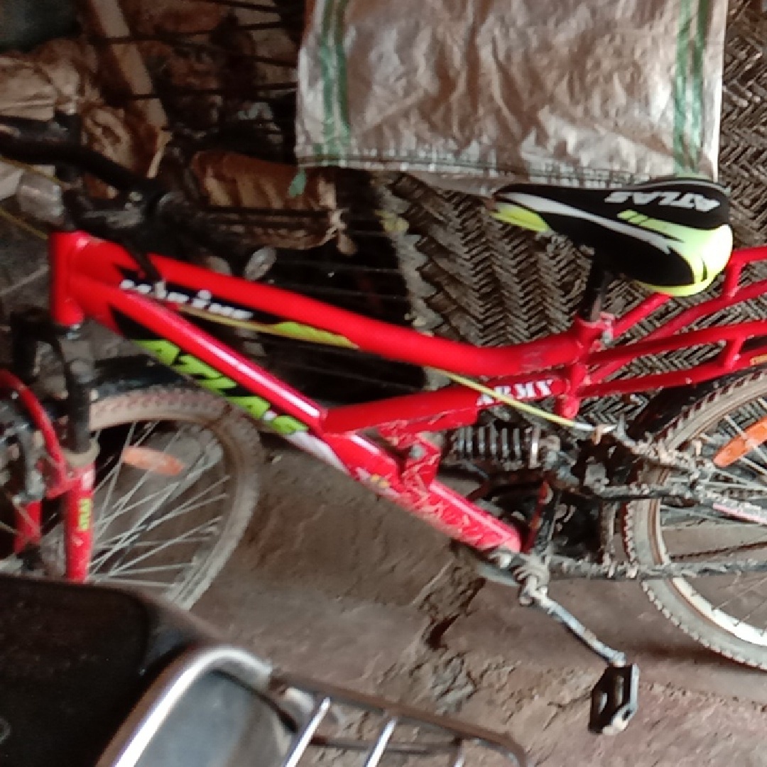 2019 Atlas SNL Mountain bike Sprocket