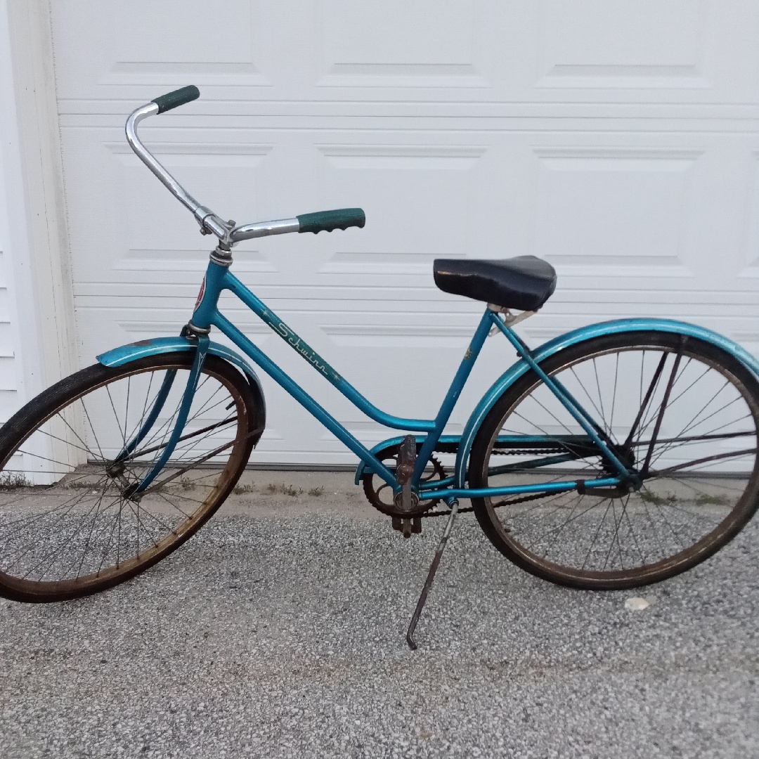 schwinn breeze
