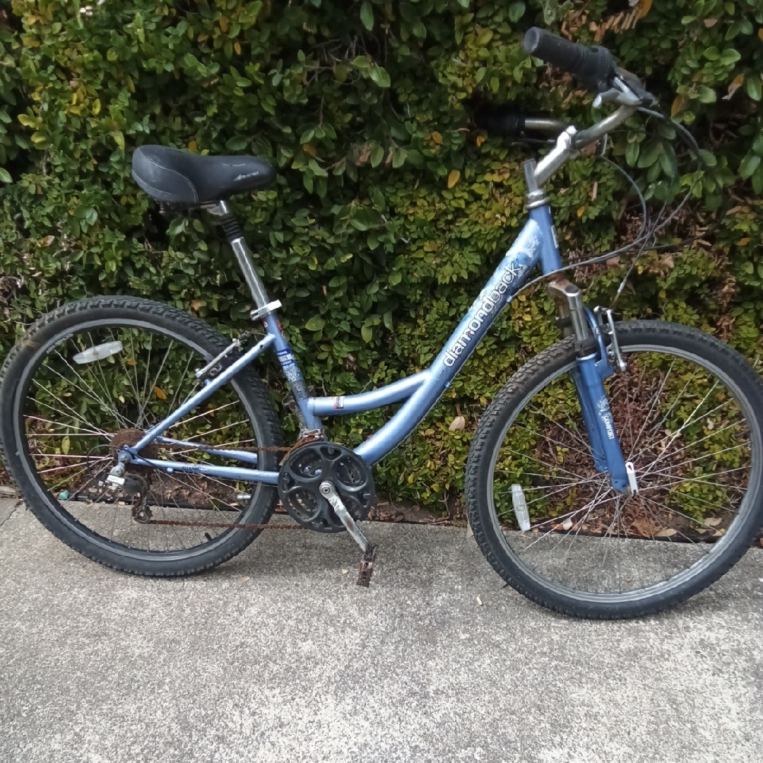 Diamondback Serene Citi Hybrid Sprocket
