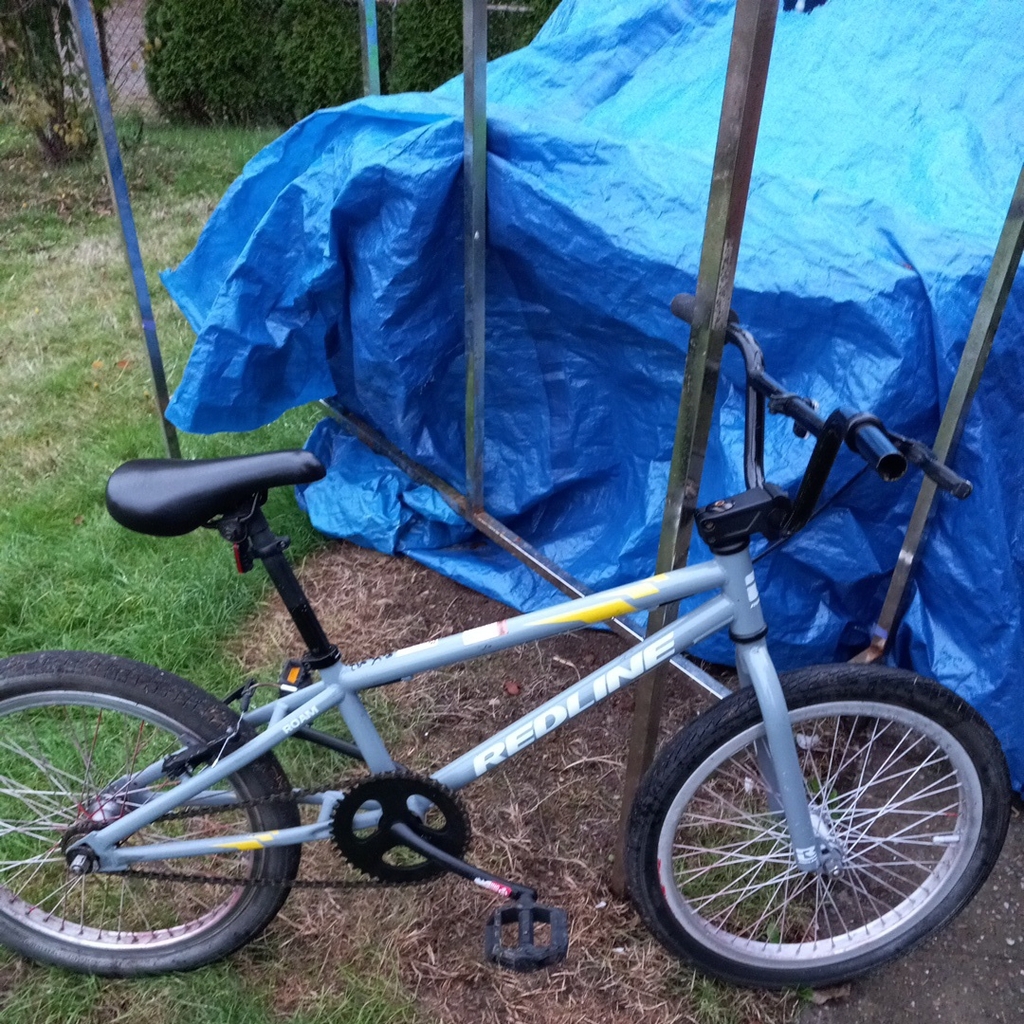 Photo 1 of 2024 Redline Roam BMX Bike
