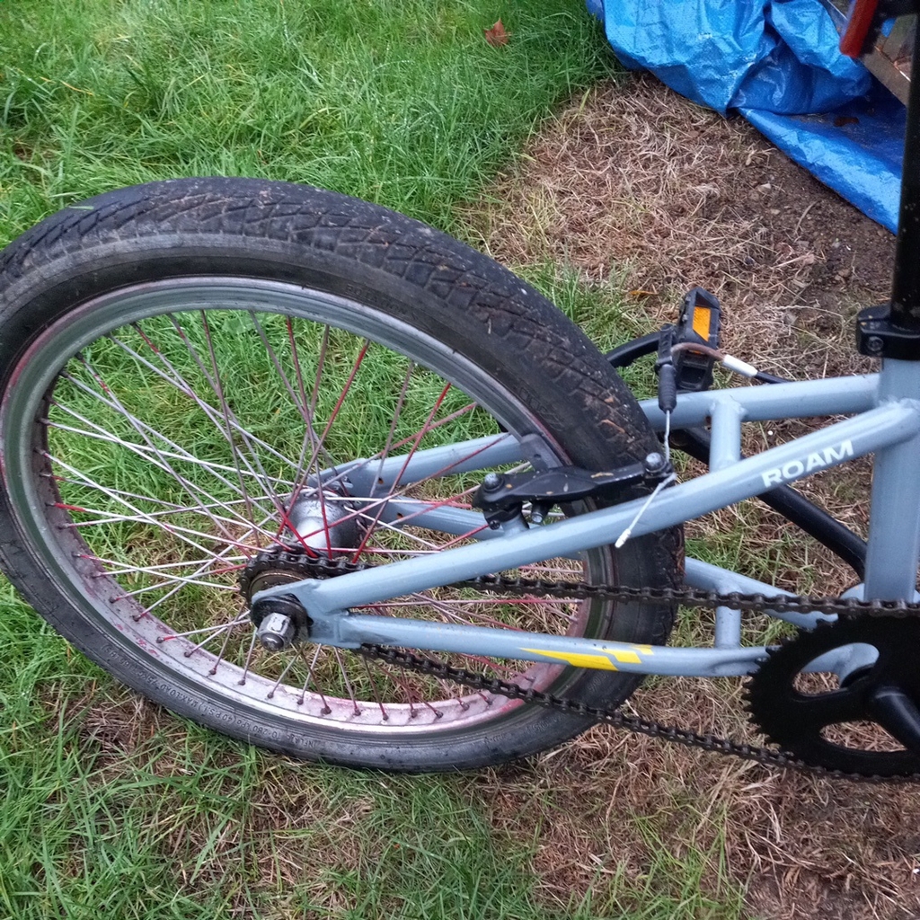 Photo 3 of 2024 Redline Roam BMX Bike