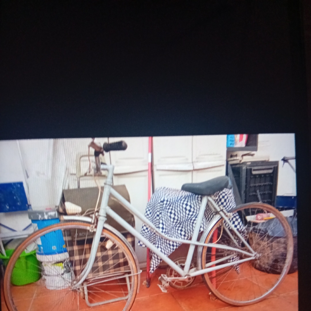 Photo 1 of 1980 Nolose Paseo Cruiser Bike