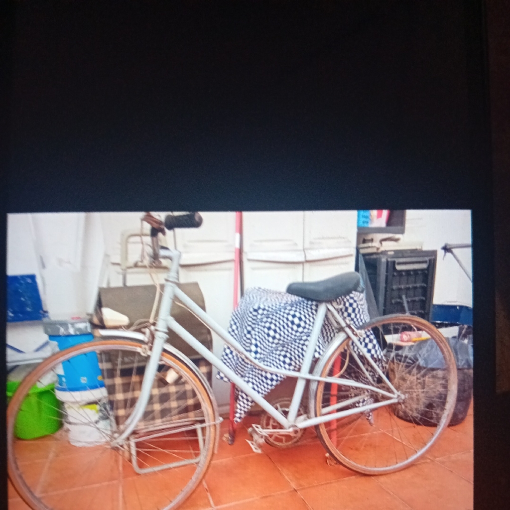 Photo 2 of 1980 Nolose Paseo Cruiser Bike