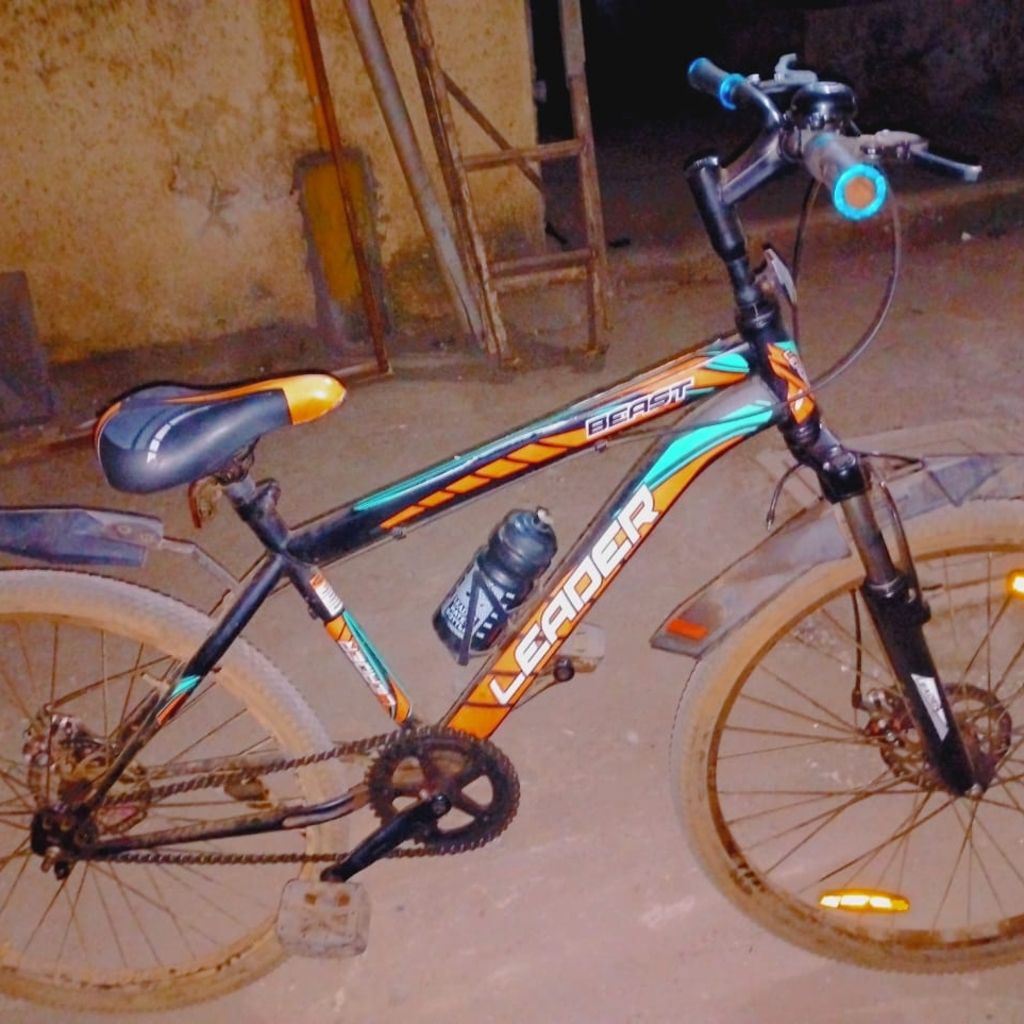 Photo 1 of 2025 Leader Beast Tandem Bike