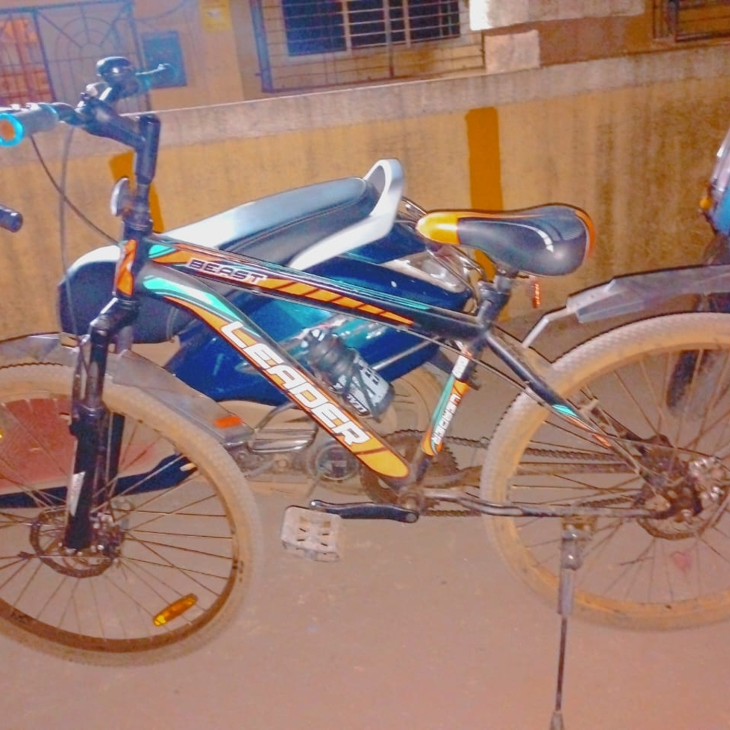 Photo 2 of 2025 Leader Beast Tandem Bike