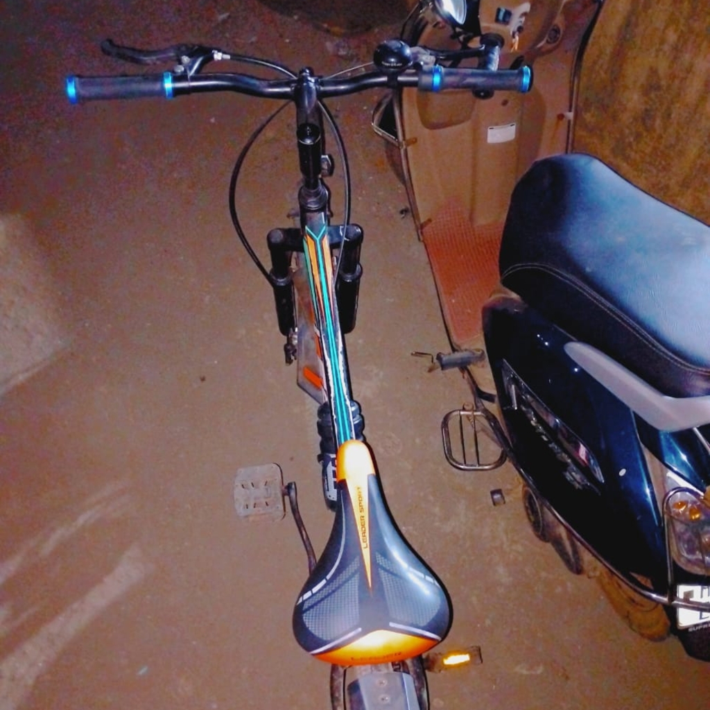 Photo 3 of 2025 Leader Beast Tandem Bike