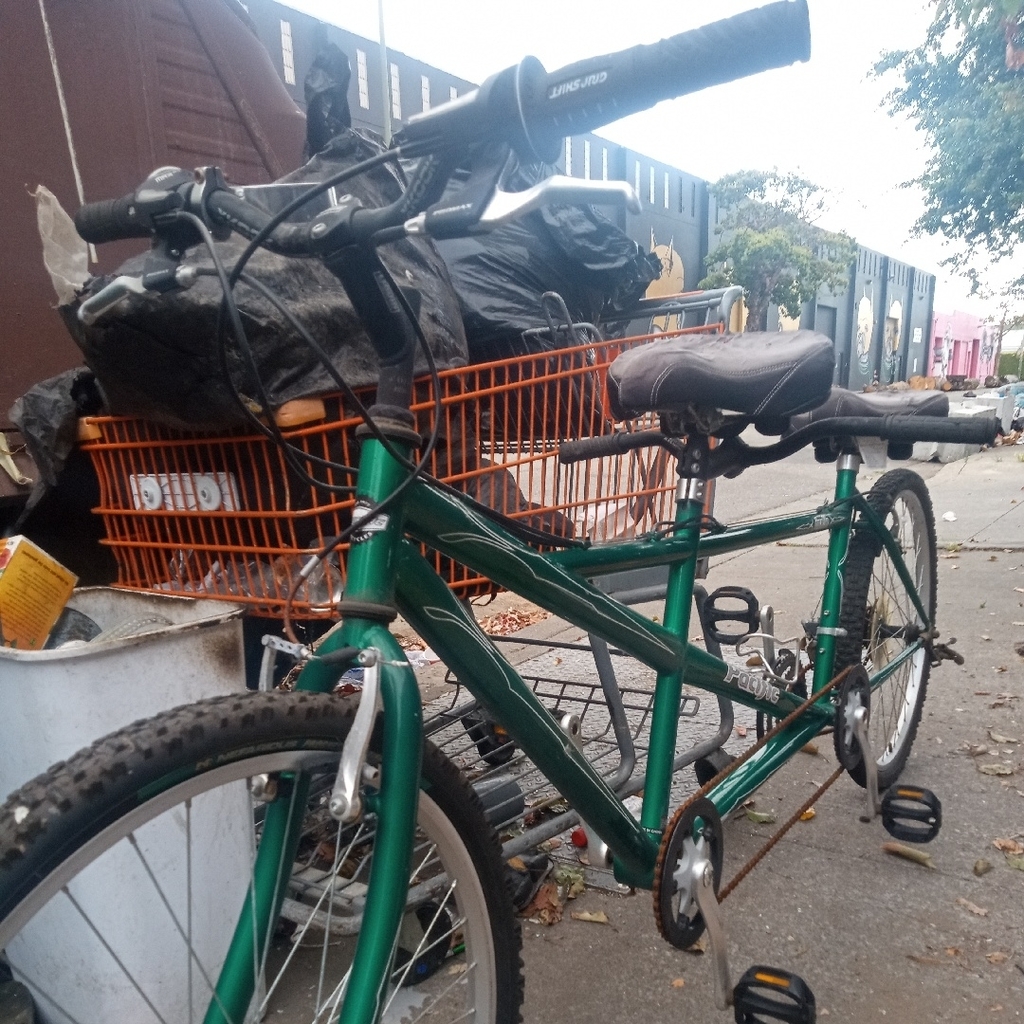 Photo 2 of 2018 Pacific Dualie Tandem Bike