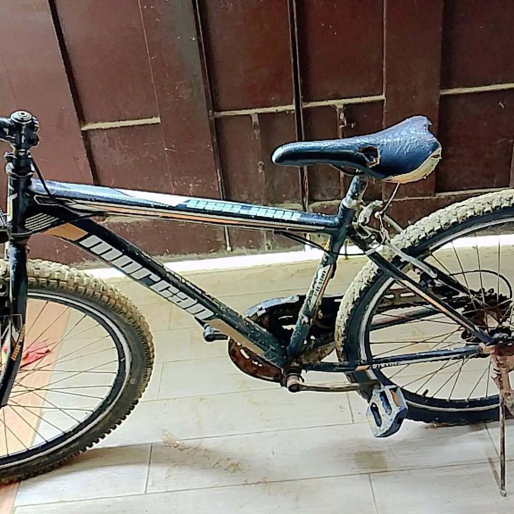Photo 1 of Morgan 2013 Fixed-gear Bike