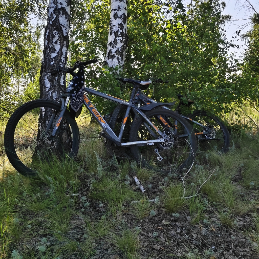 Photo 2 of 2021 Altek T350 Mountain Bike