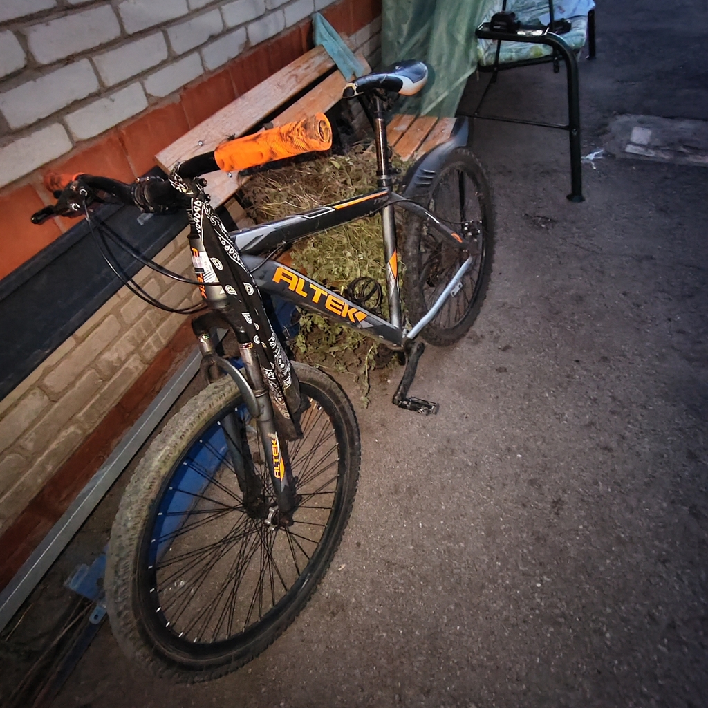 Photo 4 of 2021 Altek T350 Mountain Bike
